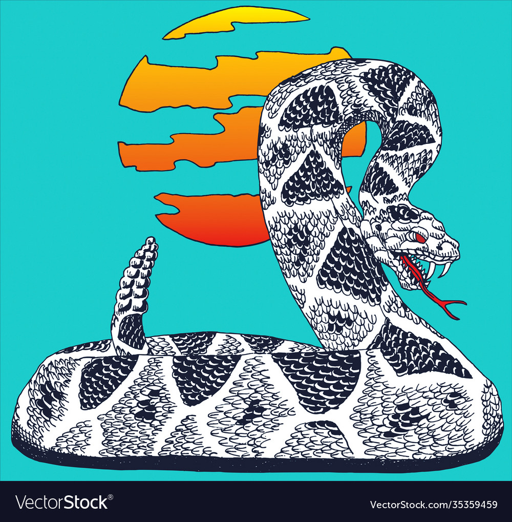 desert rattlesnake drawing