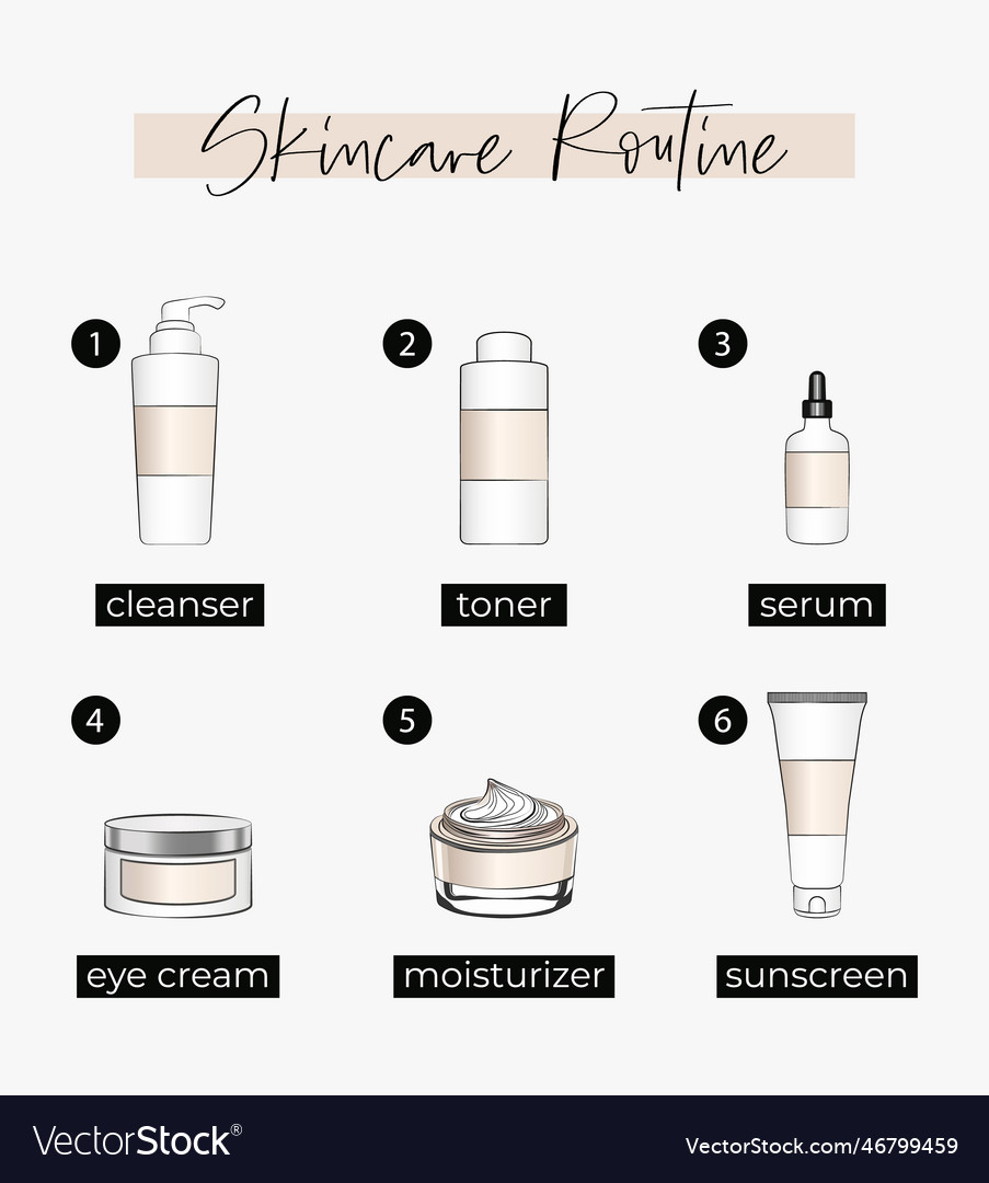 Skincare products daily routine Royalty Free Vector Image