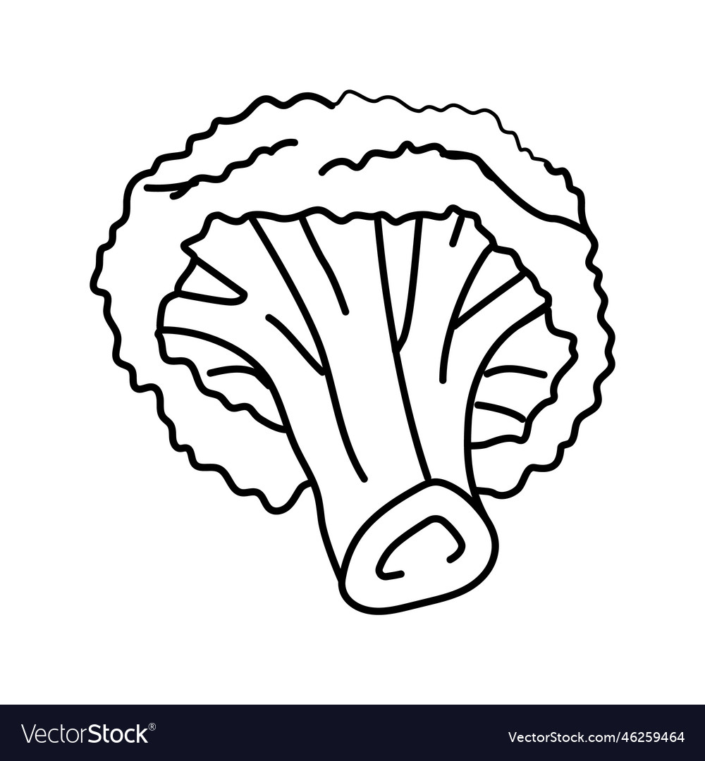 Broccoli vegetable line icon