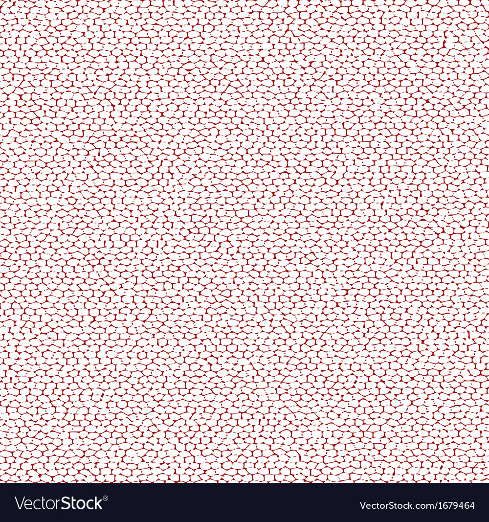 Cracked White Texture Background