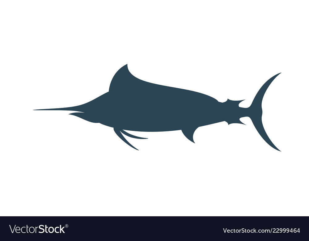 Marlin Royalty Free Vector Image - VectorStock