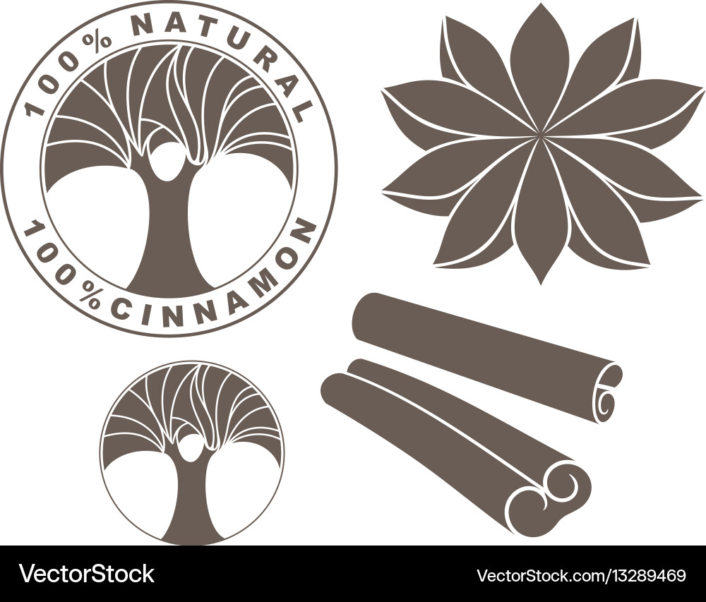 Cinnamon Royalty Free Vector Image - VectorStock