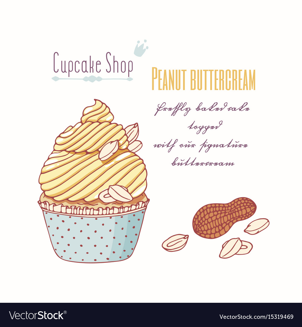 Hand Drawn Cupcake Peanut Flavor Royalty Free Vector Image