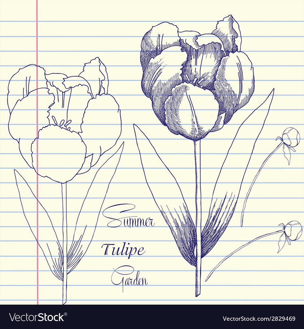 Notebook set with peony