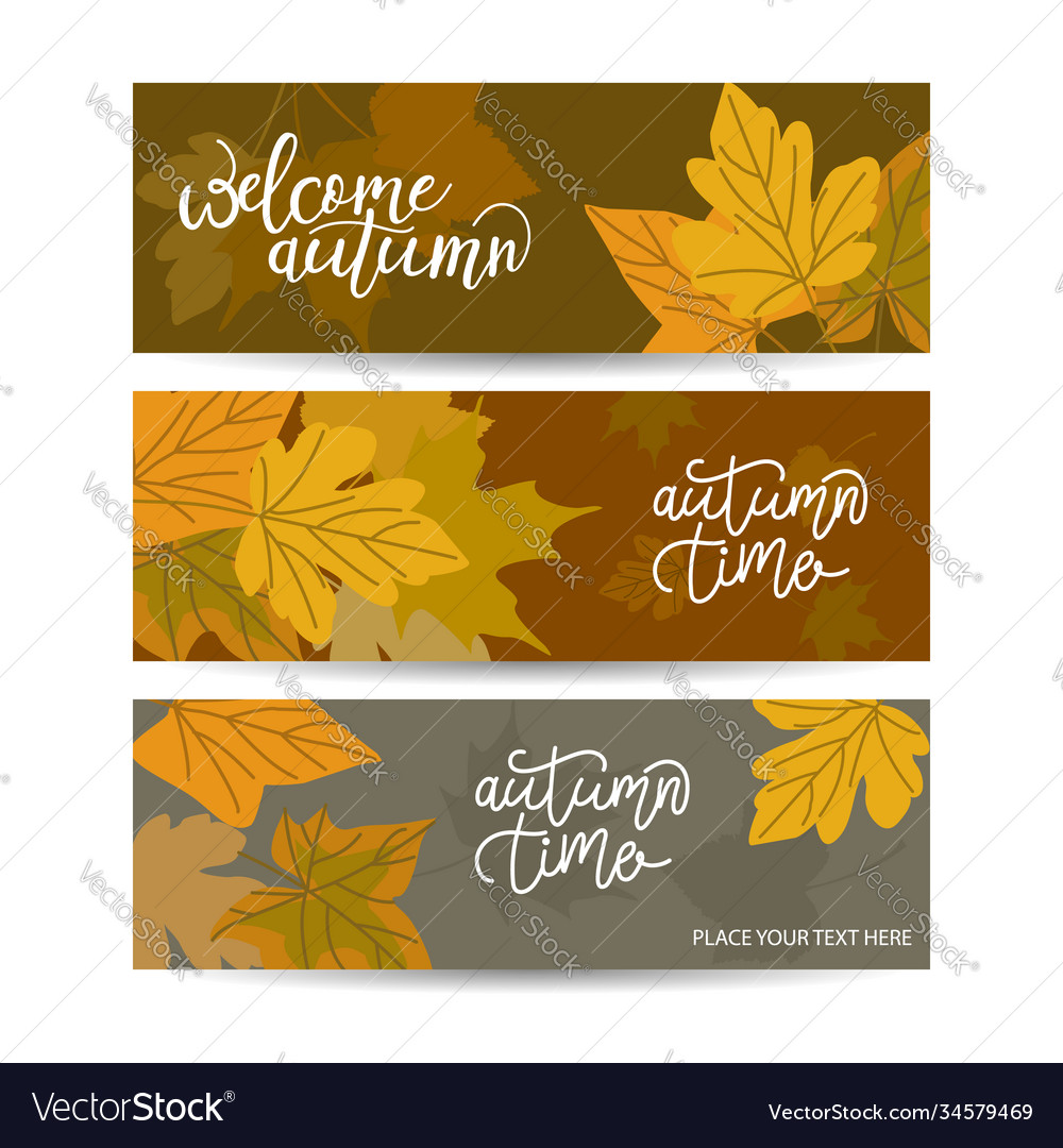 Set three horizontal banners with autumn maple Vector Image