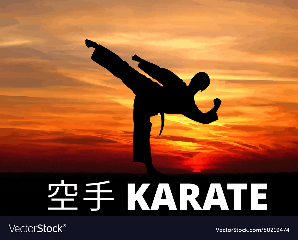 Orientalische Kampfsportkarate farbige 3d