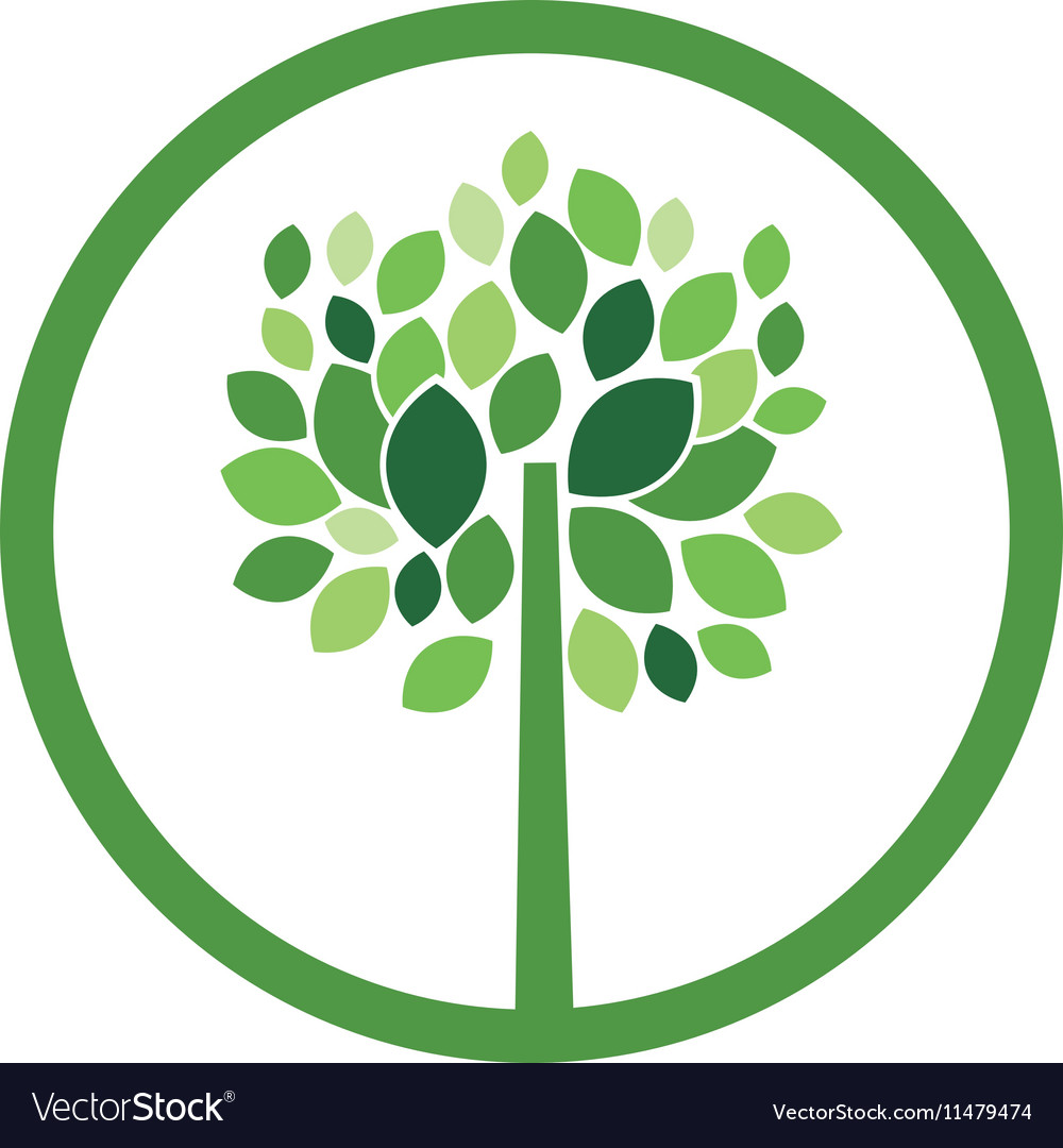 Tree plant with leaves design Royalty Free Vector Image