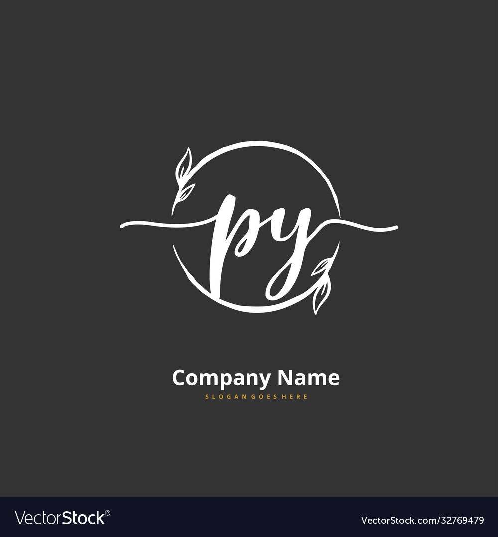 P y py initial handwriting and signature logo vector image P y py initial handwriting and signature logo