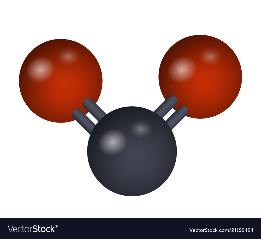 A molecule of carbon dioxide Royalty Free Vector Image