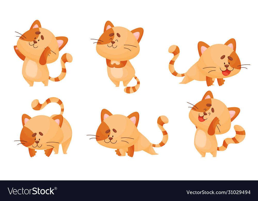 Cartoon Cat With Striped Tail Standing In Yoga Vector Image