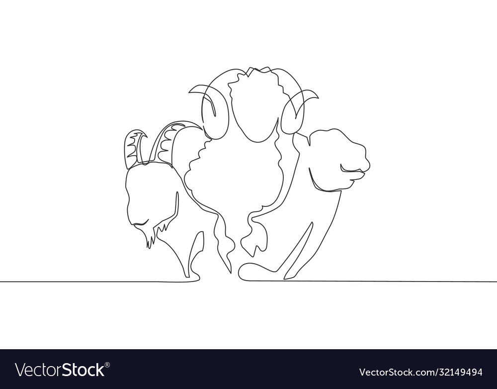One Single Line Drawing Camel Goat And Sheep Vector Image