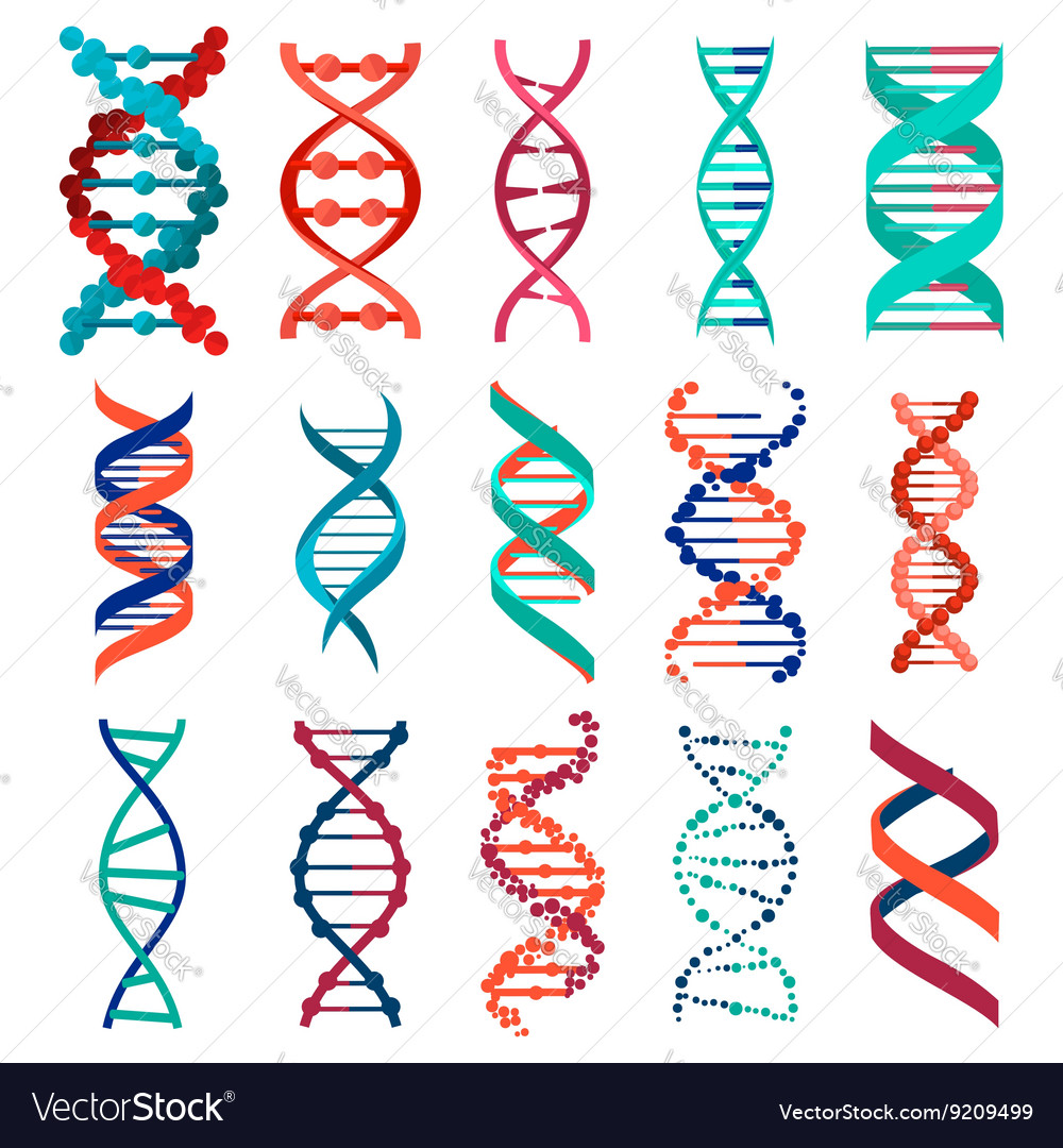 DNA molecule sign set genetic elements and icons Vector Image