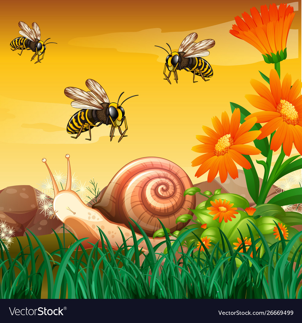 Nature scene with bees and snail Royalty Free Vector Image