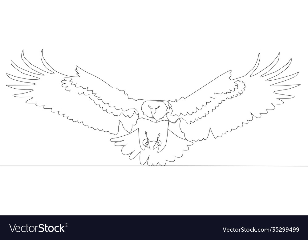 Self drawing animation continuous one single vector image Self drawing animation continuous one single