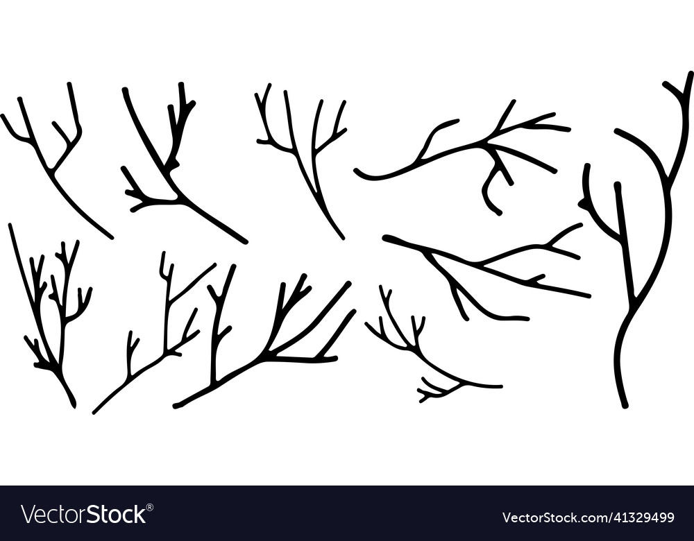 Set with different branches of a tree in blac Vector Image Set with different branches of a tree in blac