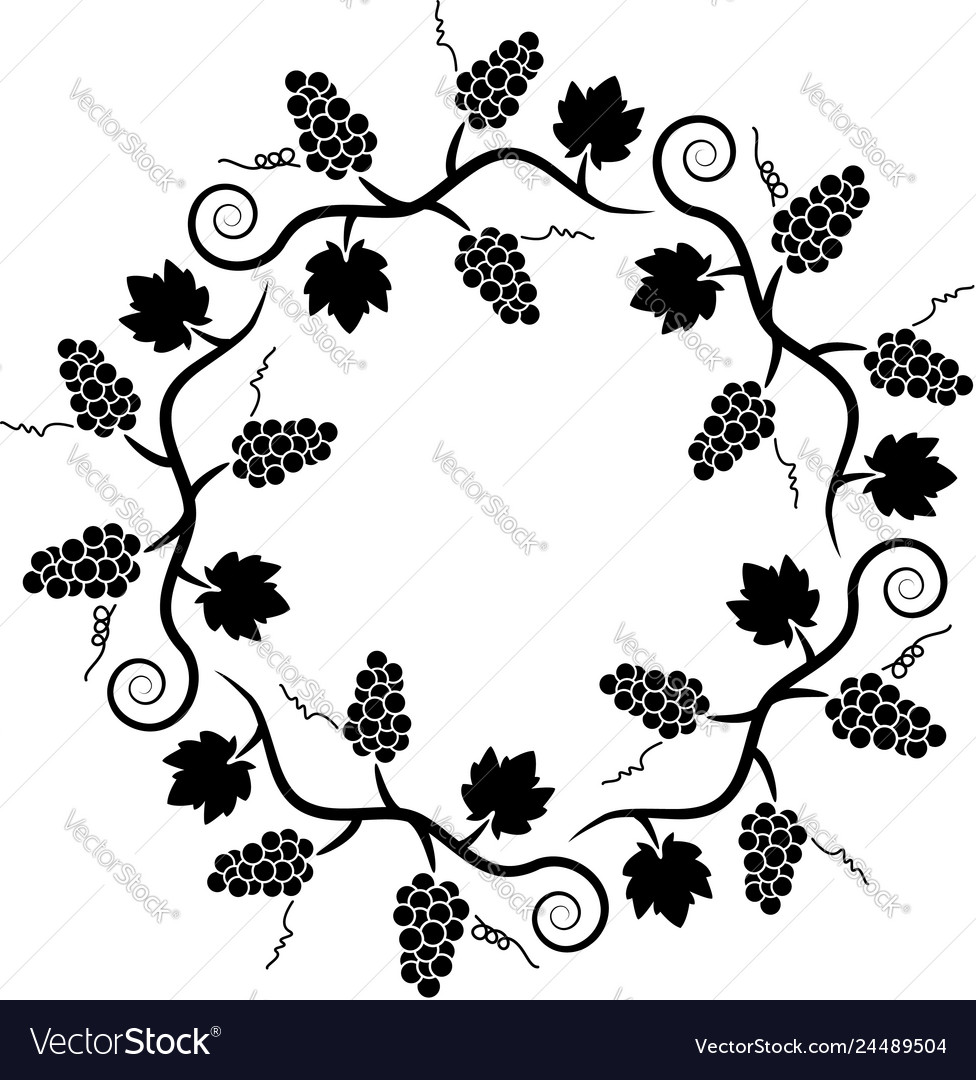 Black and white decoration pattern grape vine Vector Image