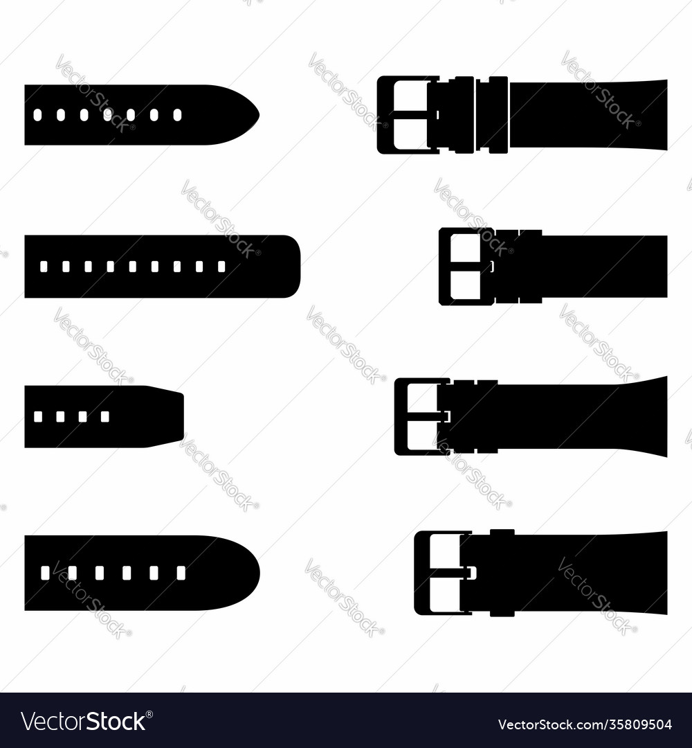 Different buckle belt edges and holed tapes Vector Image