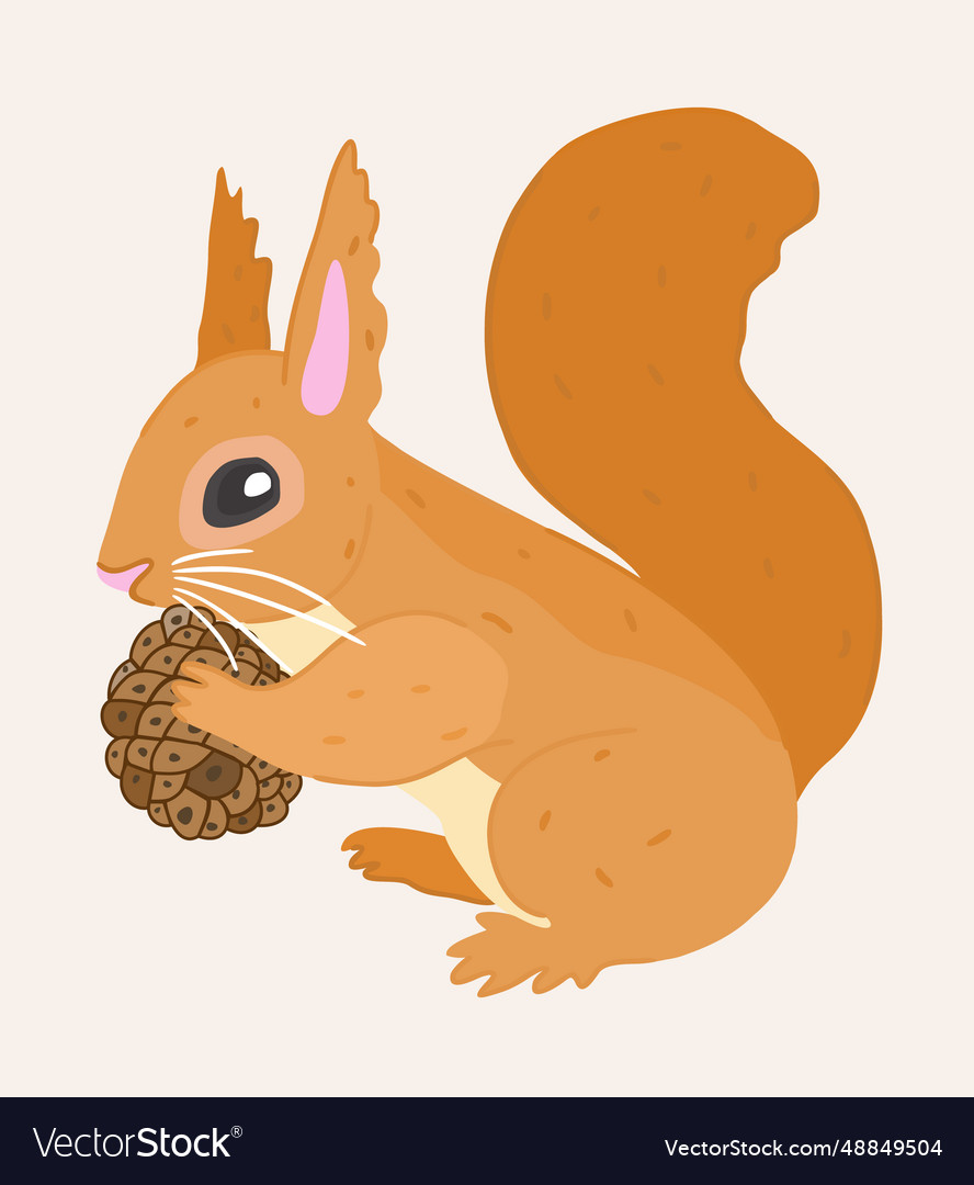 Isolated of squirrel with cone