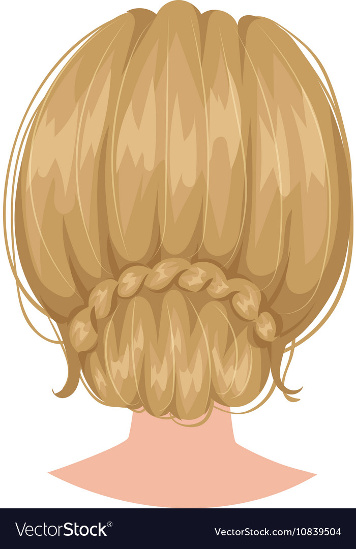 Woman Hairstyle Back View Royalty Free Vector Image