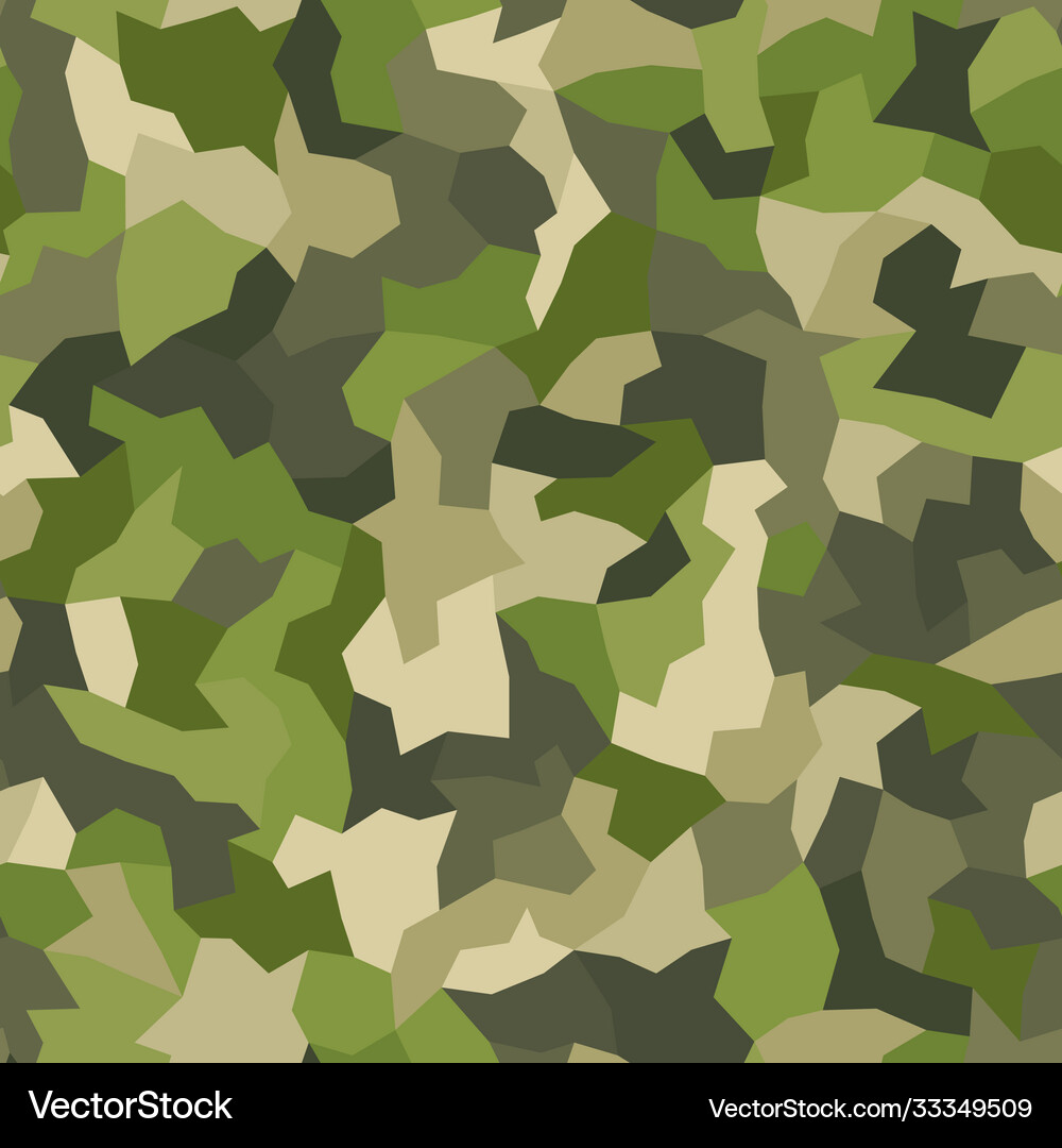 Abstract seamless pattern camouflage Royalty Free Vector