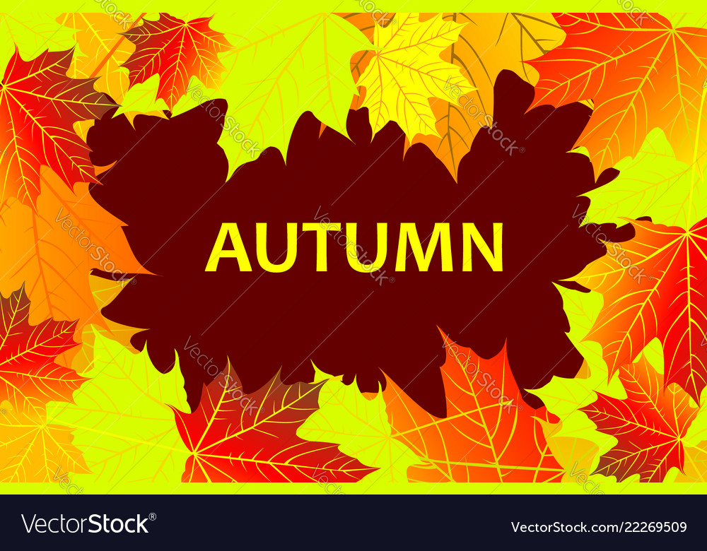 Autumnal leaf of maple Royalty Free Vector Image