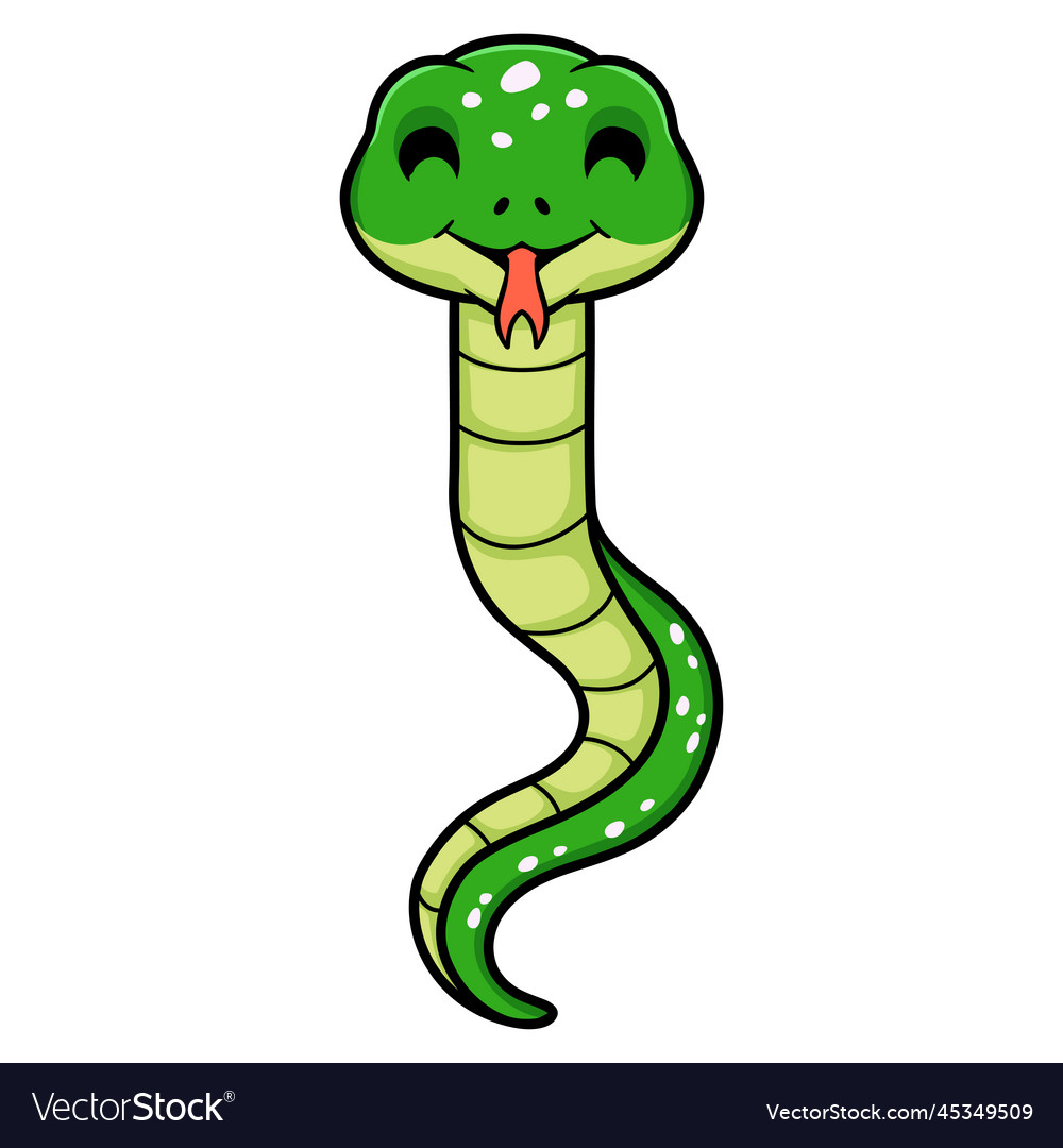 Cute green tree python cartoon Royalty Free Vector Image