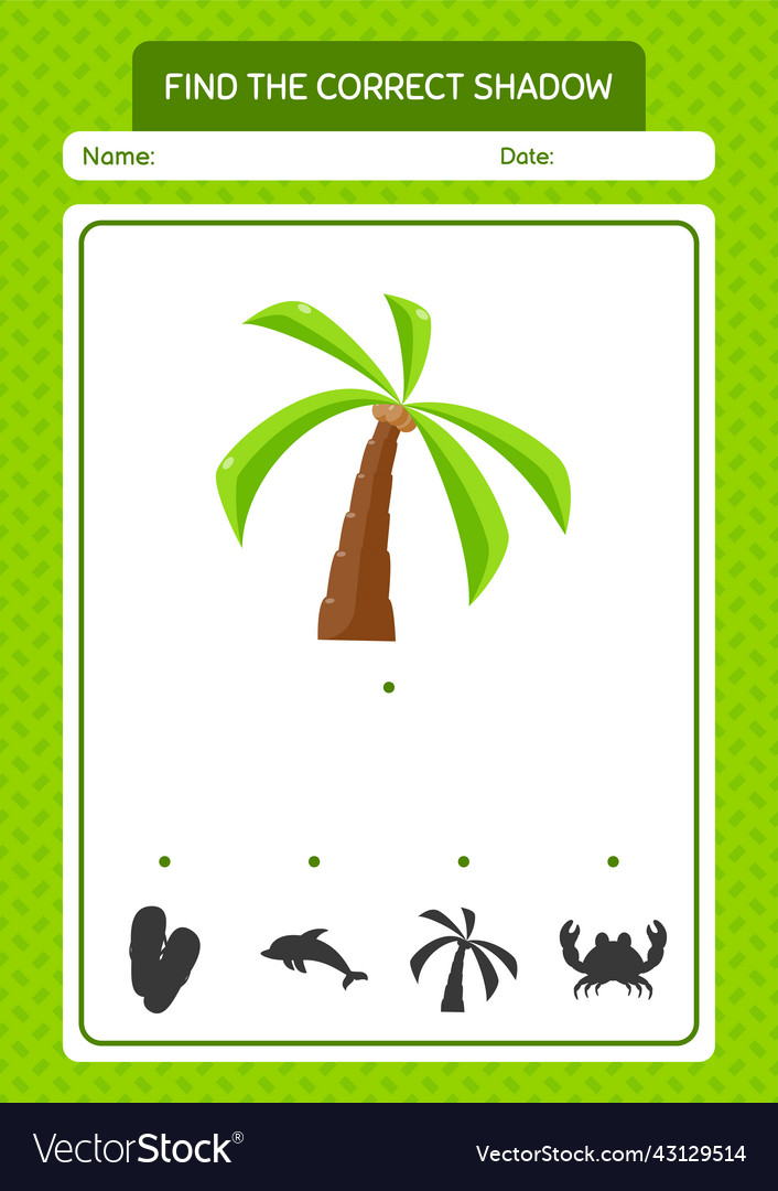 Find the correct shadows game with coconut tree vector image Find the correct shadows game with coconut tree