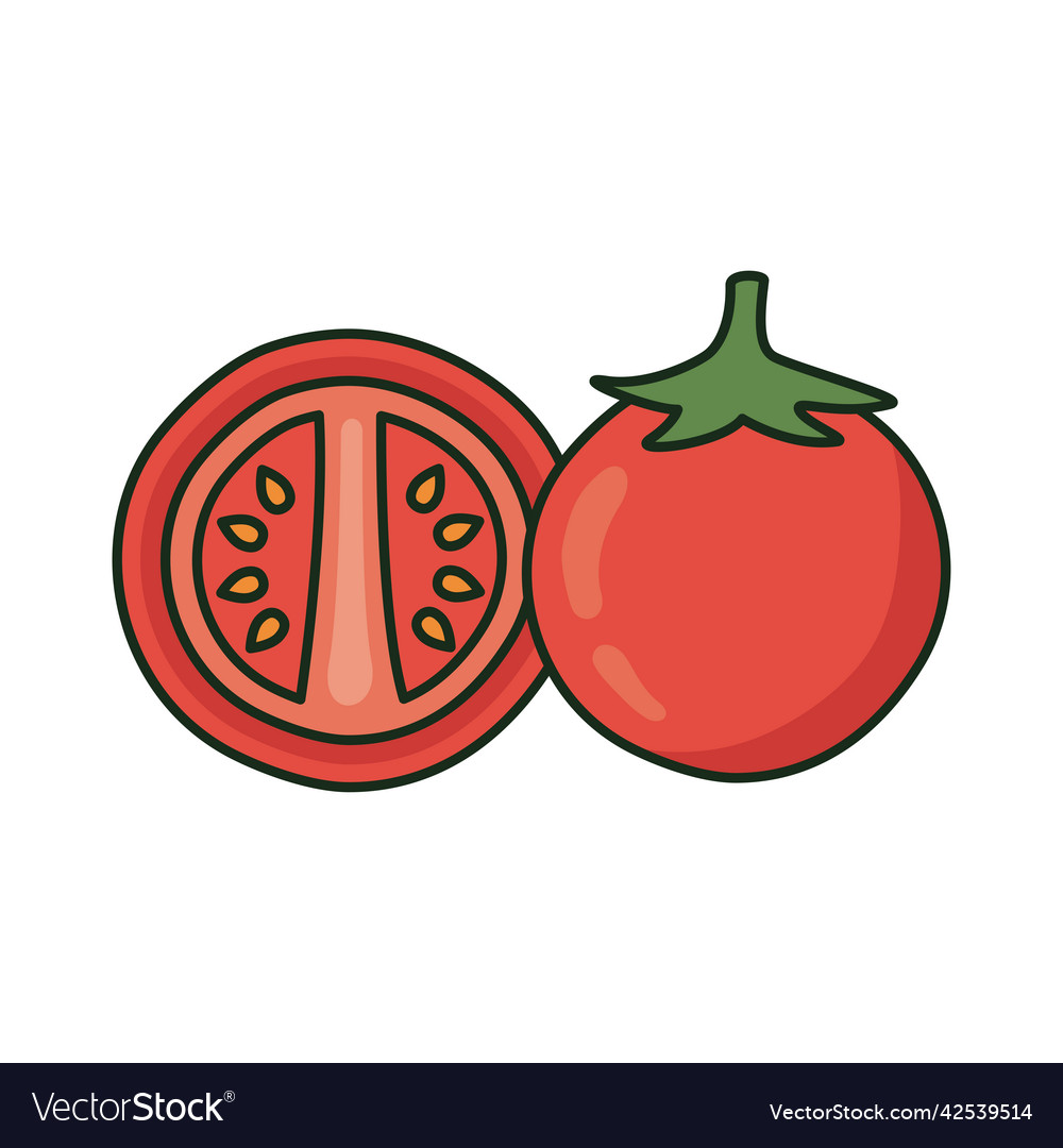 Fresh tomatoes vegetables