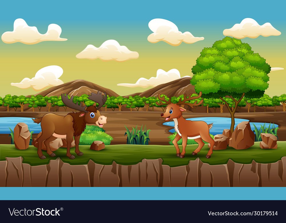 Zoo scene with a moose and deer playing in open ca Vector Image Zoo scene with a moose and deer playing in open ca