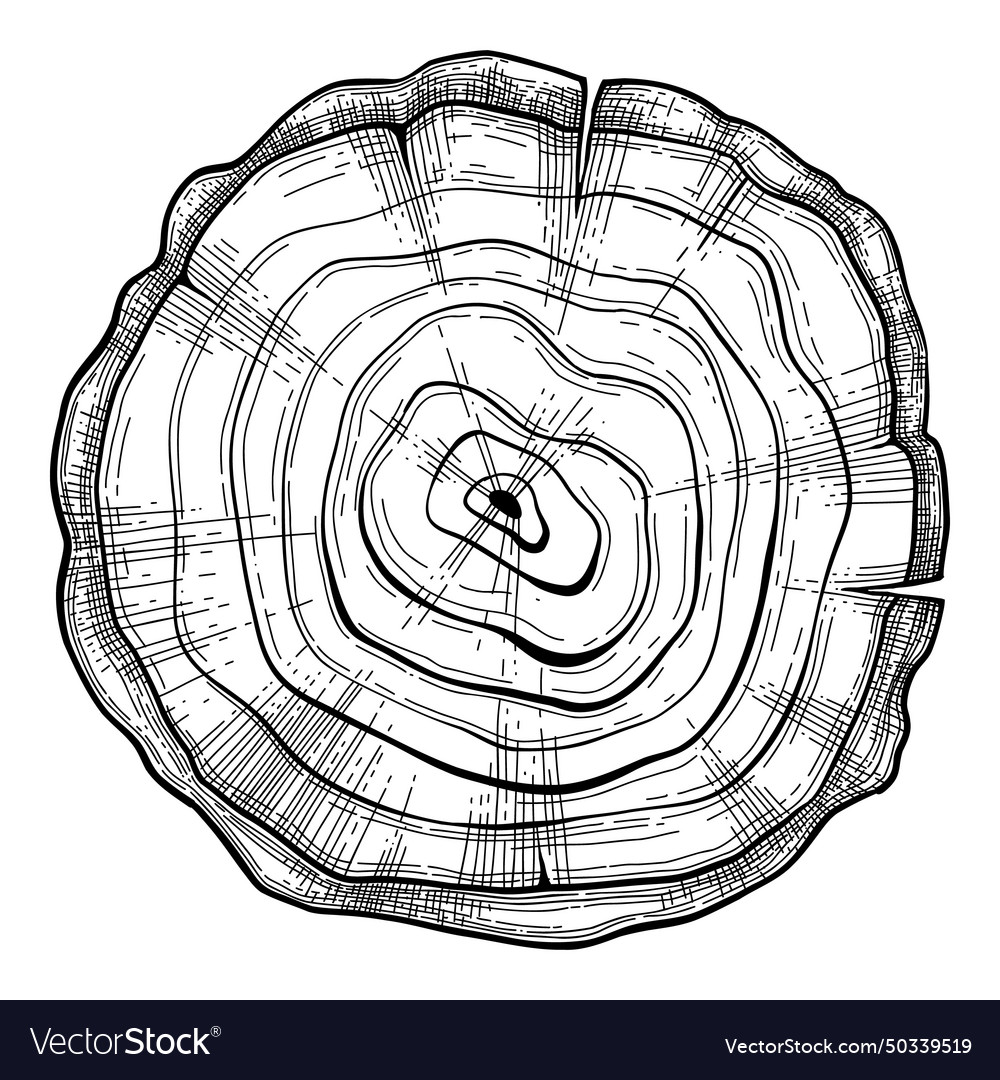 Tree stump and log set vector image Tree stump and log set