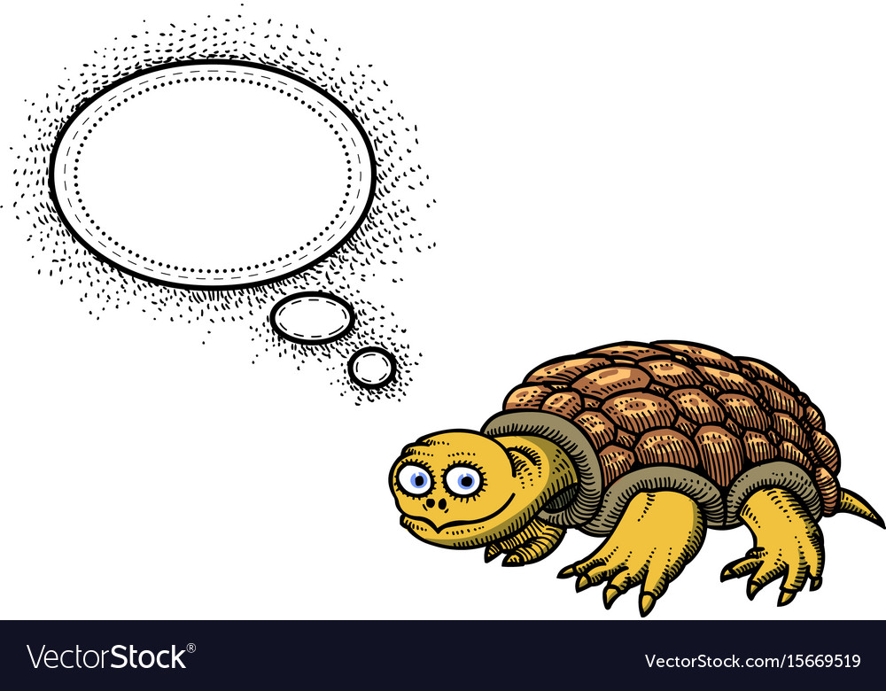 Turtle-100
