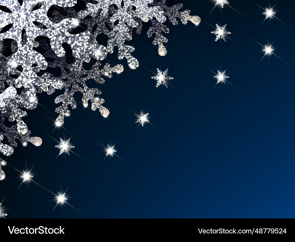 Banner silver snowflakes in the corner Royalty Free Vector