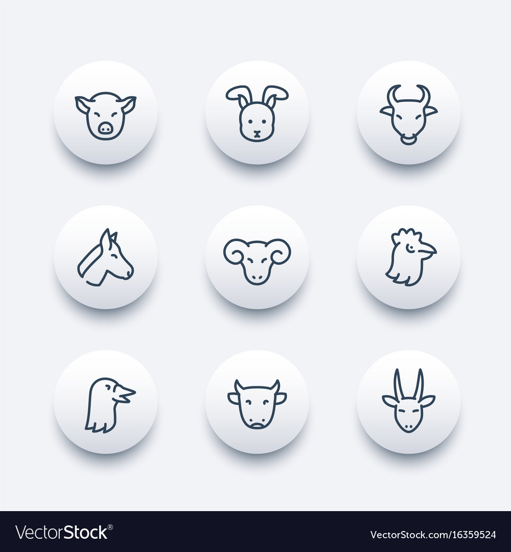 Farm animals line icons