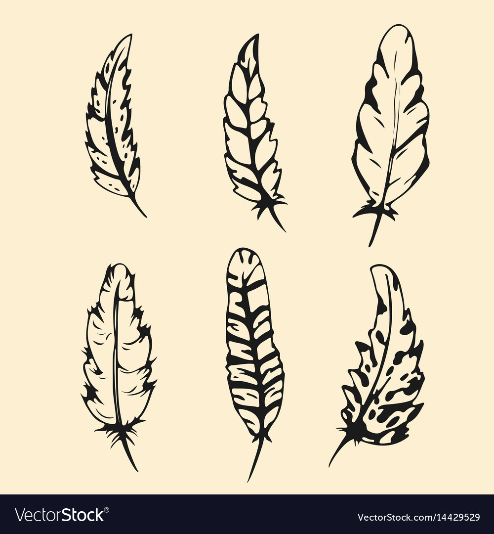 Hand drawn feather set outline silhouette