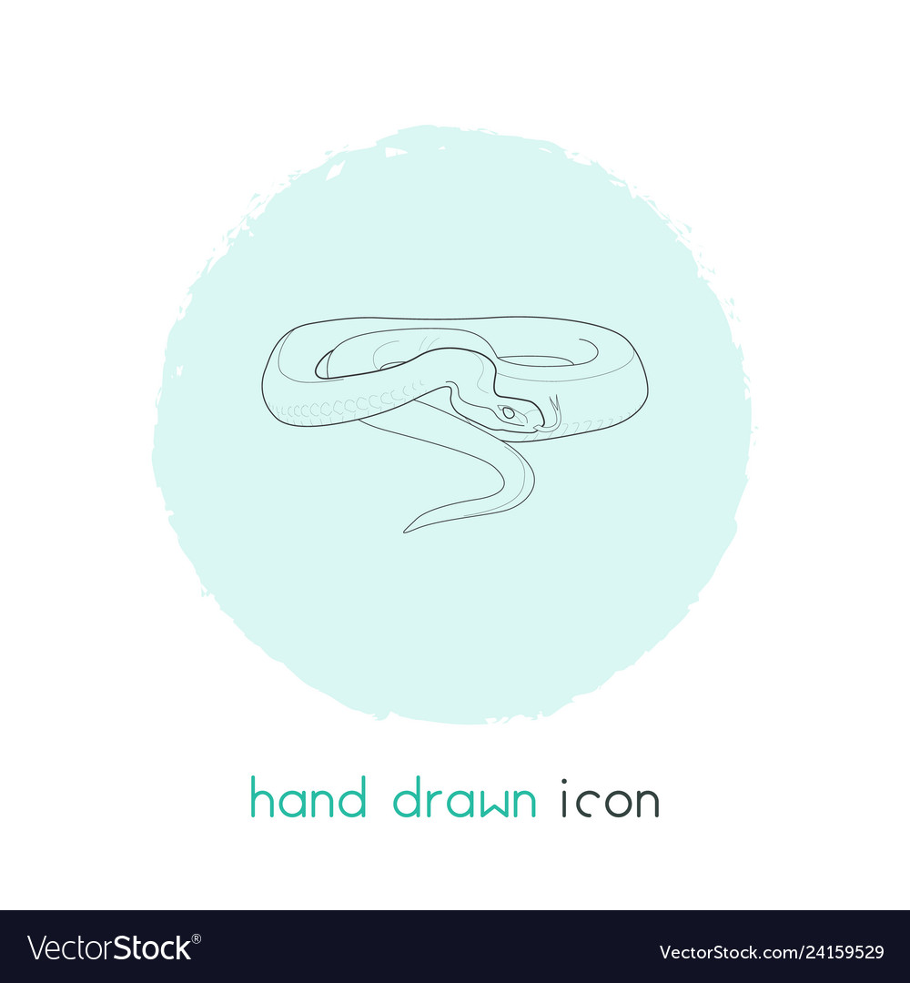 Snake icon line element vector image Snake icon line element