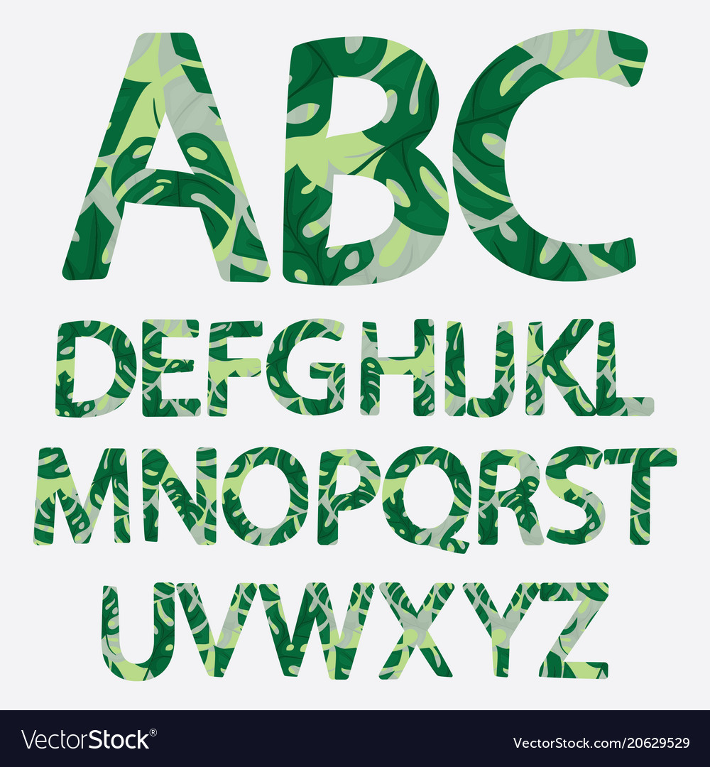 Tropical alphabet made of banana palm leaves Vector Image