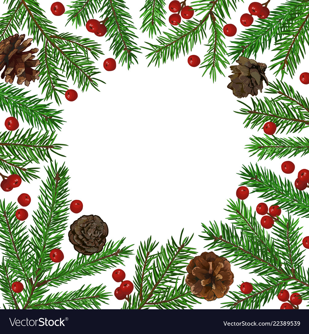 Background with realistic green fir tree branch Vector Image