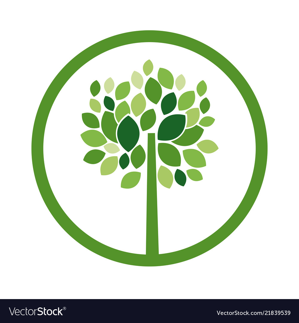 Green Tree Plant Design Royalty Free Vector Image