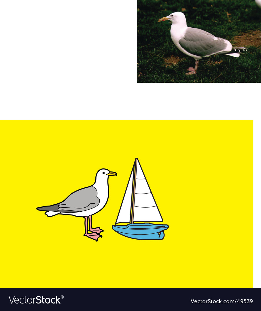 Seagull and toy boat