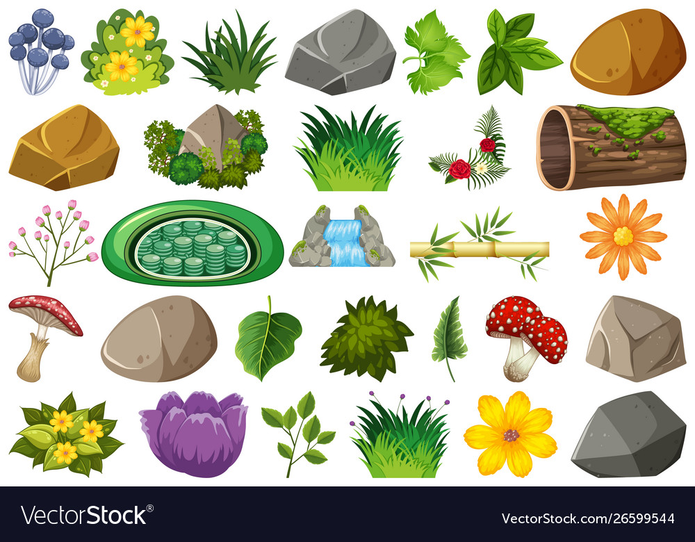 Set isolated objects theme - gardening vector image Set isolated objects theme - gardening