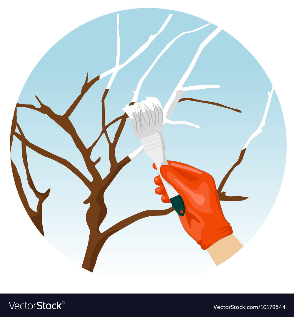 Whitewashing of trees in the spring garden