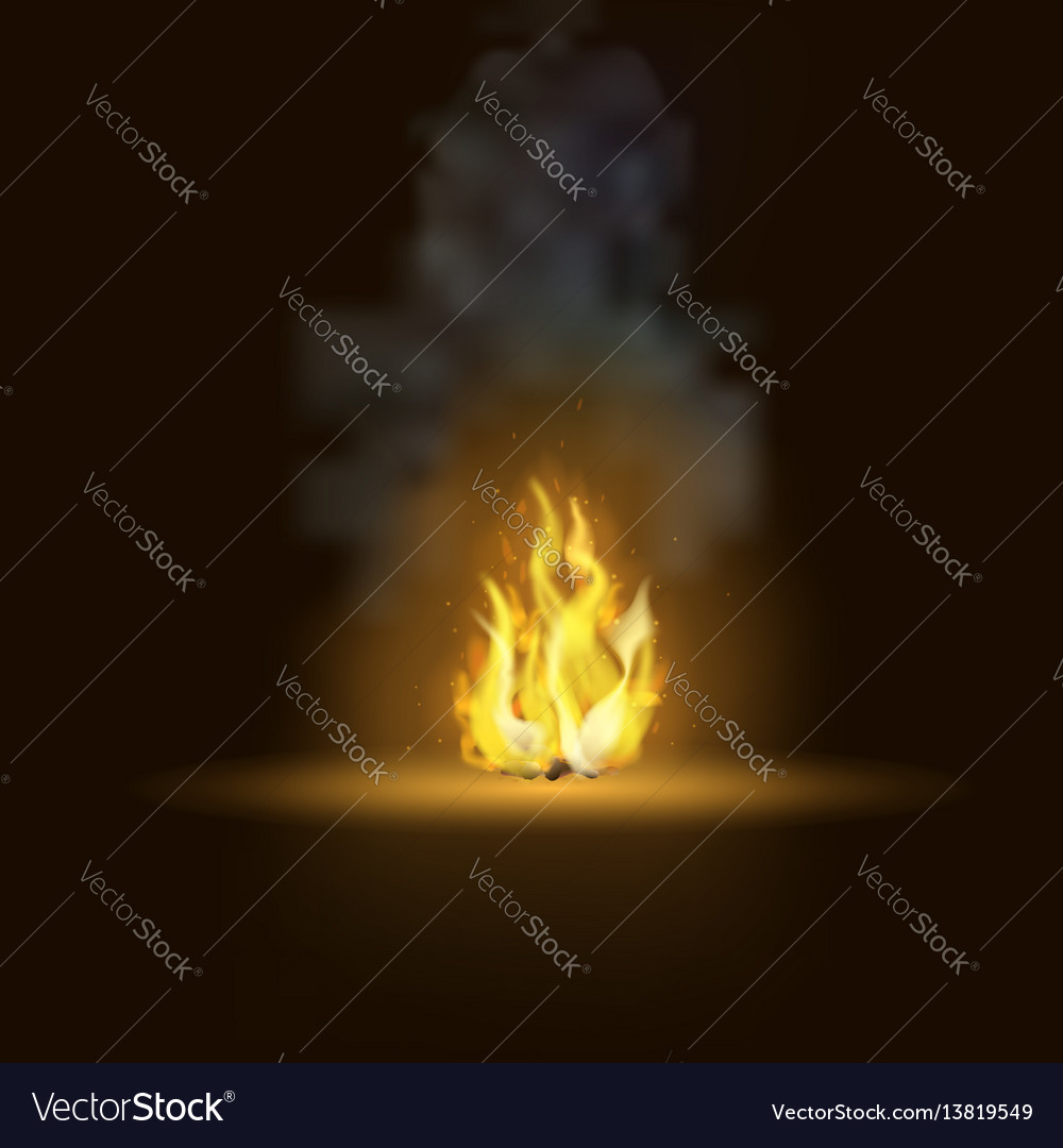 Realistic bonfire with smoke Royalty Free Vector Image