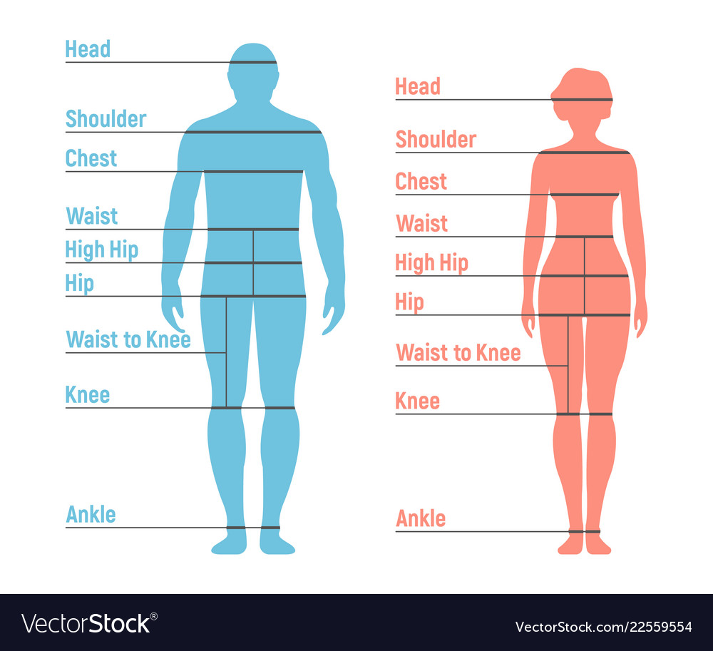 Woman and girl size chart human front side Vector Image