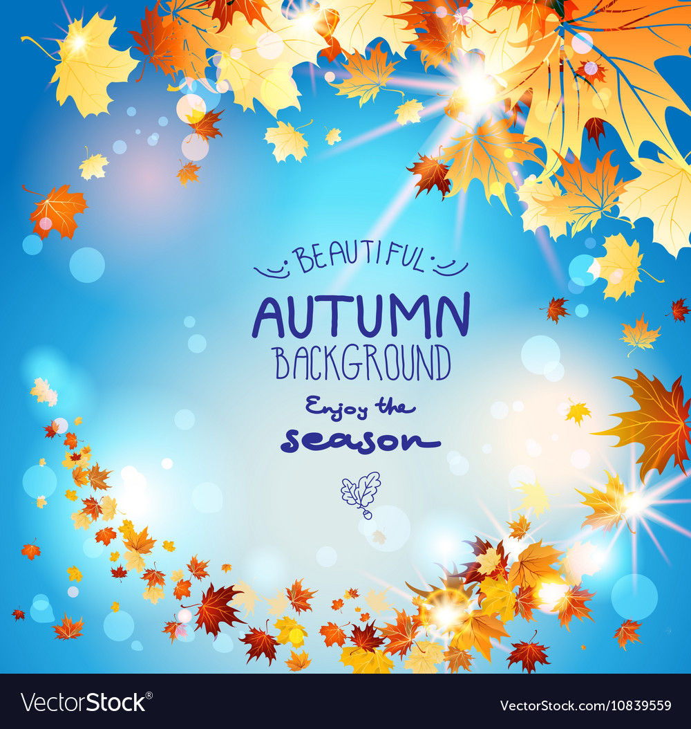 Autumn Leaves on Blue Background