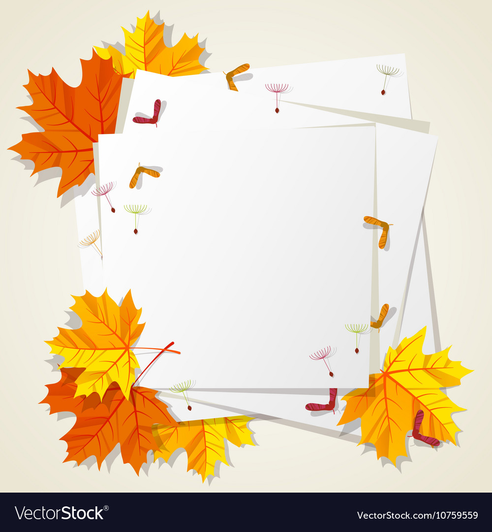 Autumn seasonal banner design fall leaf