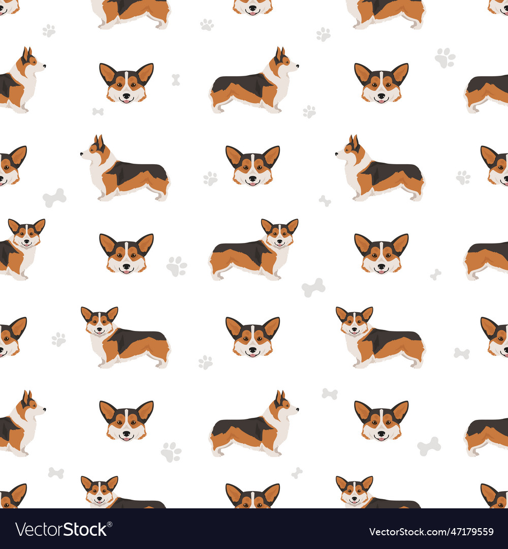 Welsh corgi pembroke seamless pattern all coat Vector Image