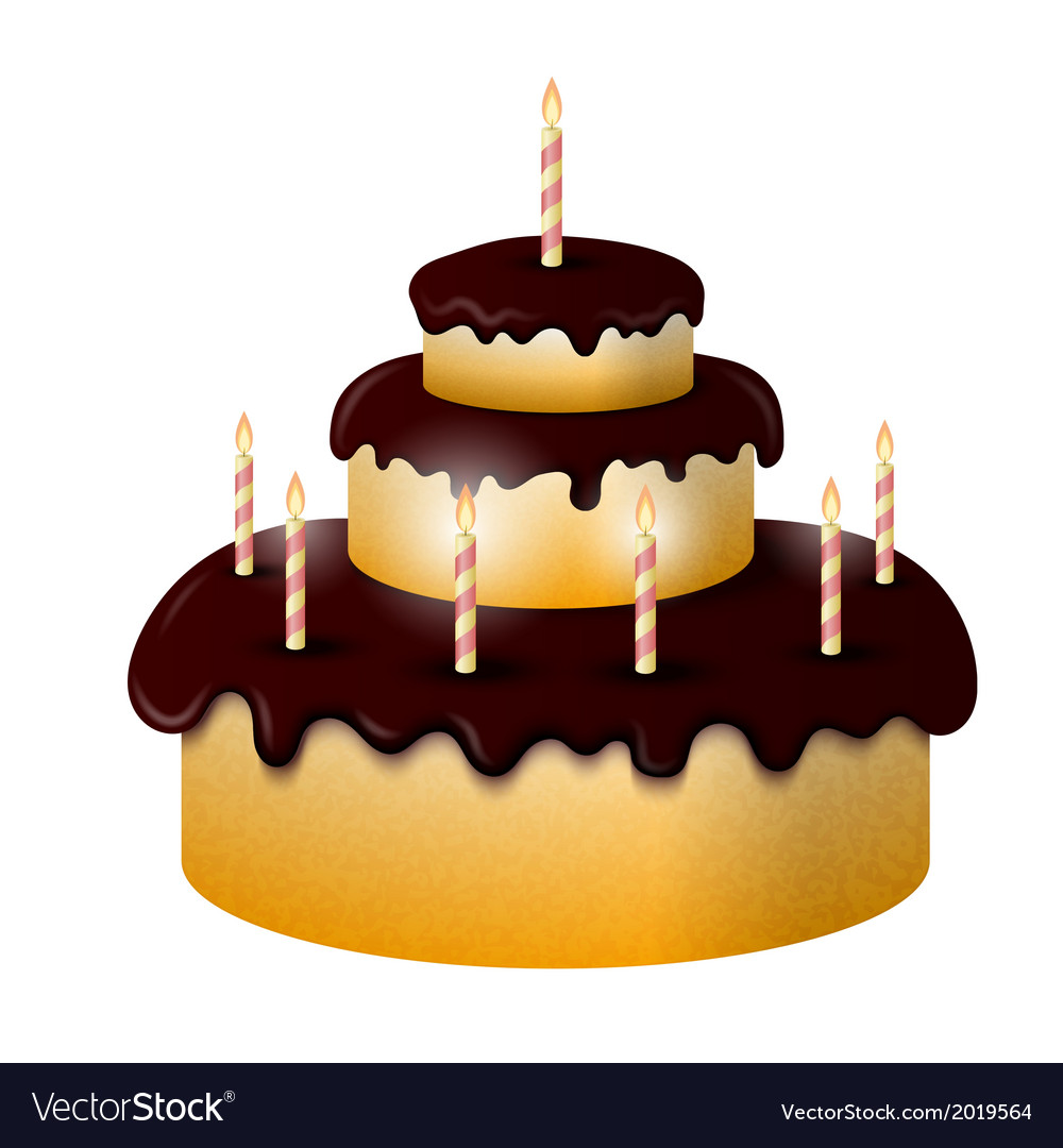 Celebratory chocolate cake with burning candles Vector Image