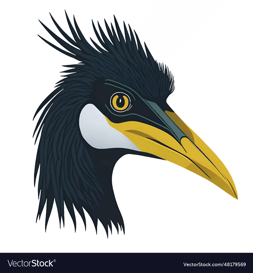 Anhinga head isolated on white background Vector Image