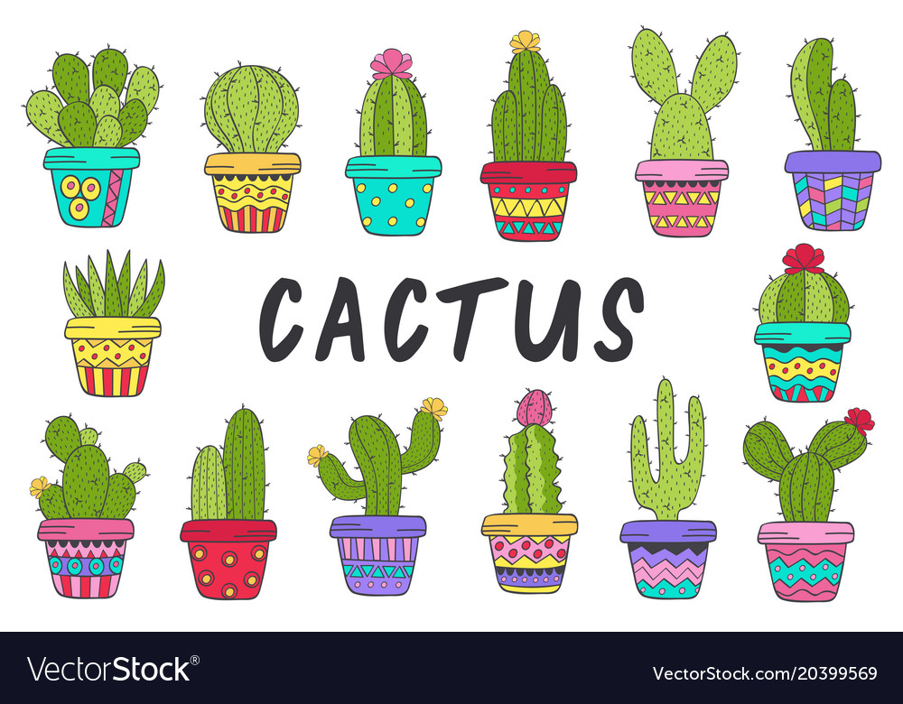 Colorful Cactus Set