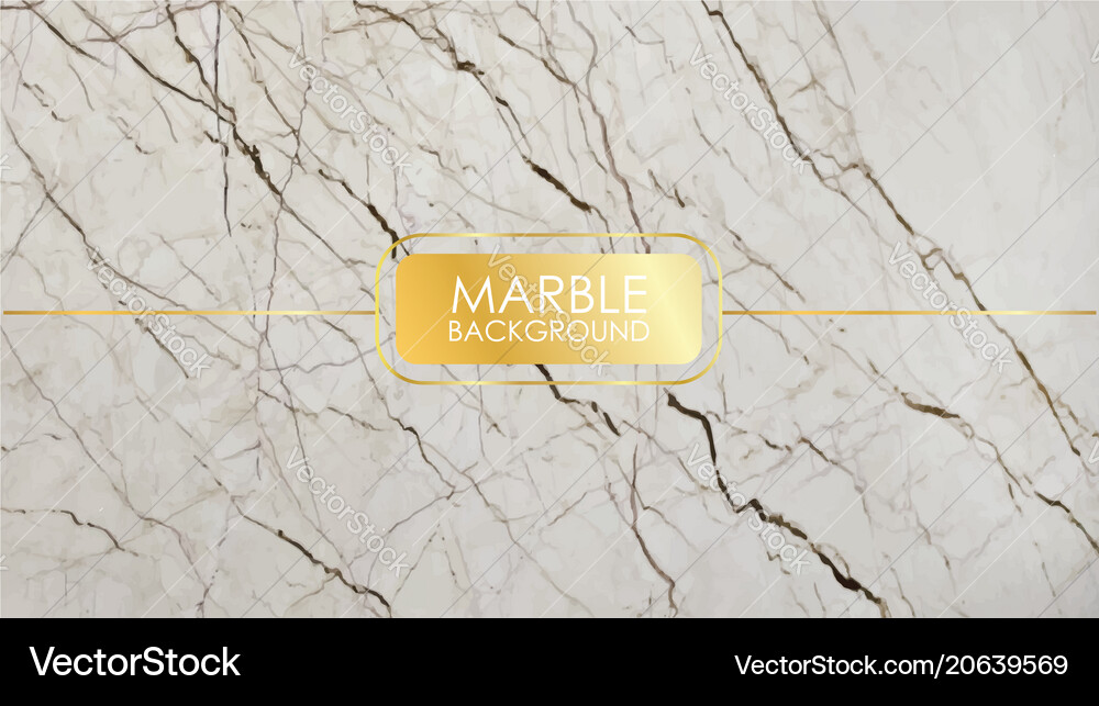 Marble texture Royalty Free Vector Image - VectorStock